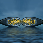 Fractal Shell