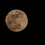 02/20/08 Moon