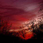 1 14 2013 Red Sunset 1