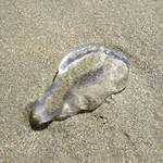 A blob of something