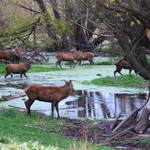 A Gathering Place