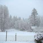 A blanket of white