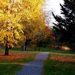 A Fall Walk