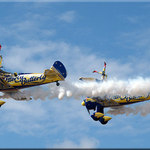 Wing Walkers