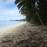 Along the Beach #2