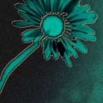 Green and Yellow glowflower