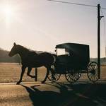 Amish Silhouette