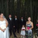 Amongst the Bamboo