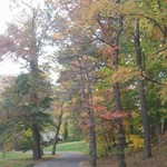 An Autumn Drive