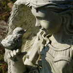 Angel & Bird