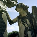 Face shot of Angel 2