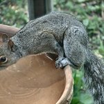 Thirsty