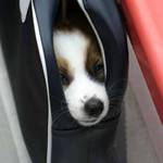 Let me out.