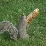 Eat Fresh