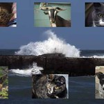 Seven Wonders of Our World