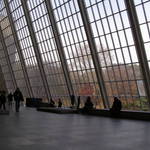 Architectual Window with Fall Trees