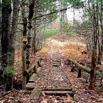 Bridge
