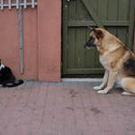 Are We Friend's ?