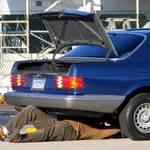 Automotive Gynecologist