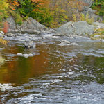 Autumn Comes to the Riverside