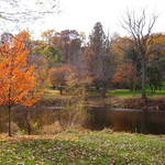 Autumn day