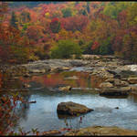 Autumn Stream