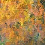 Reflections of Autumn