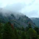 Misty Autumn Mountains