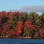 Lake Autumn