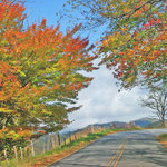 Autumns Splendor