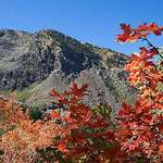 Autumn in the Wasatch Mountains