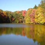 Autumn reflections 5