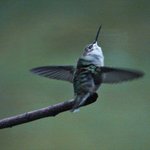 Lift Off