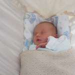 Cassidy Asleep