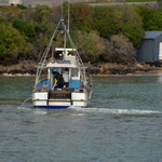 Back From Fishing