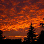Backyard Sunset
