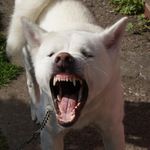 Bad mood!