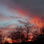 Balmy Winter Sunset