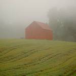 Barn in Mist