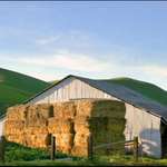 Barn & Hay