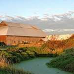 Barns & stream at Sundown