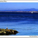 Monterey Bay