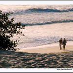 A Stroll Along the Beach