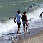 Love is a beach