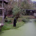 Standing Bear