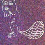 Beaver 1