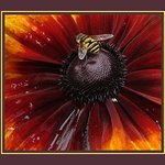 Bee on flower