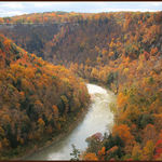 Bend in the River