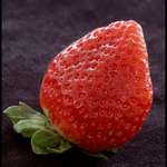 Berry