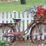 50's bike